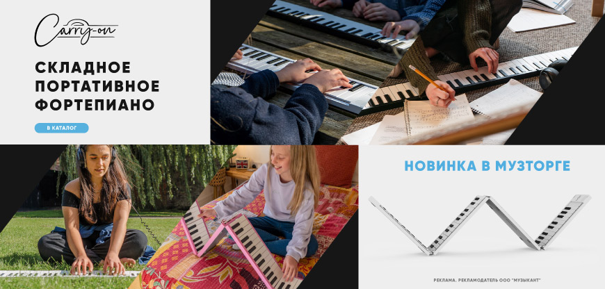 Портативные клавишные CARRY-ON FP-88