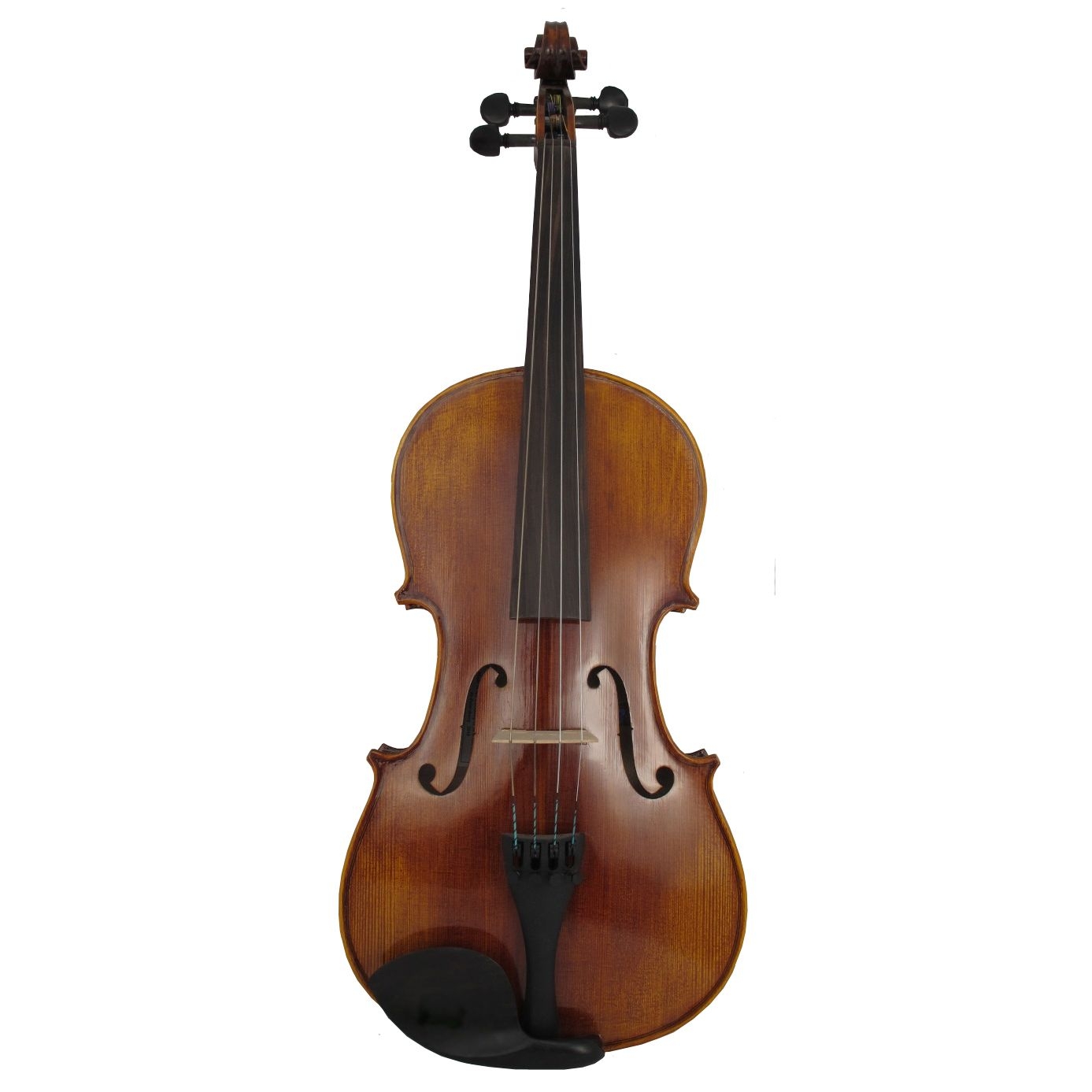 Amazon.com: violin