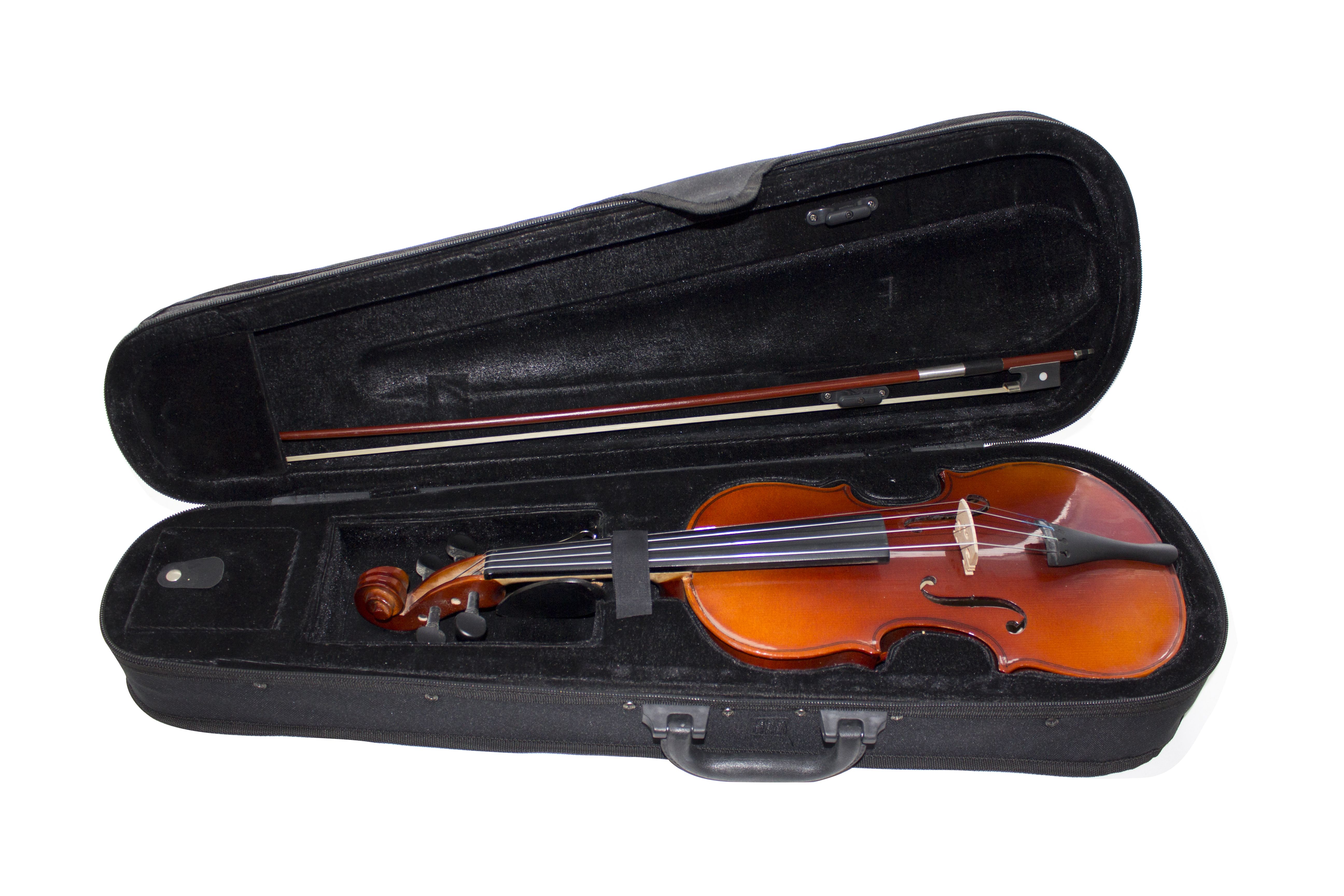 Скрипка Цена