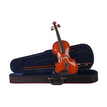 P-100 4/4 Violin