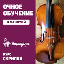 UNKNOWN Скрипка. 8 индивидуальных занятий