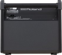 ROLAND PM-100 - фото 2