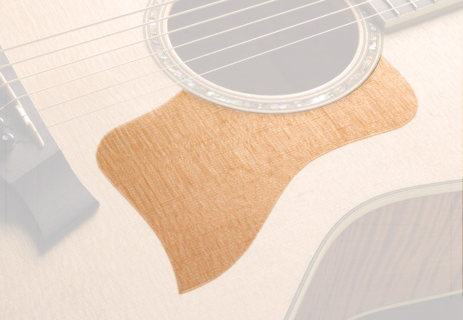 

80293 PG, STATIC UNIVERSAL